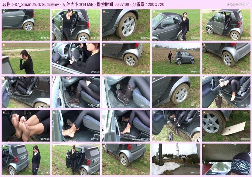 p-87_Smart stuck Suck